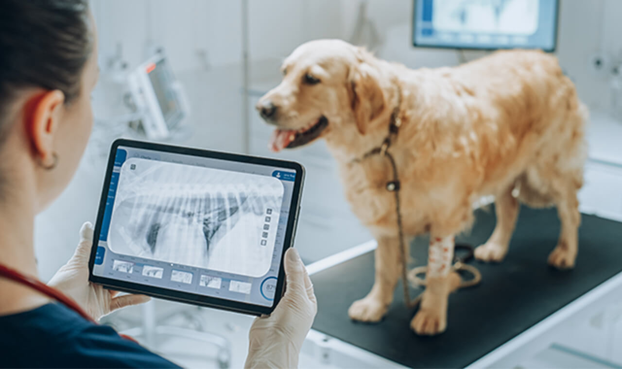 将来のビジョンへの支援