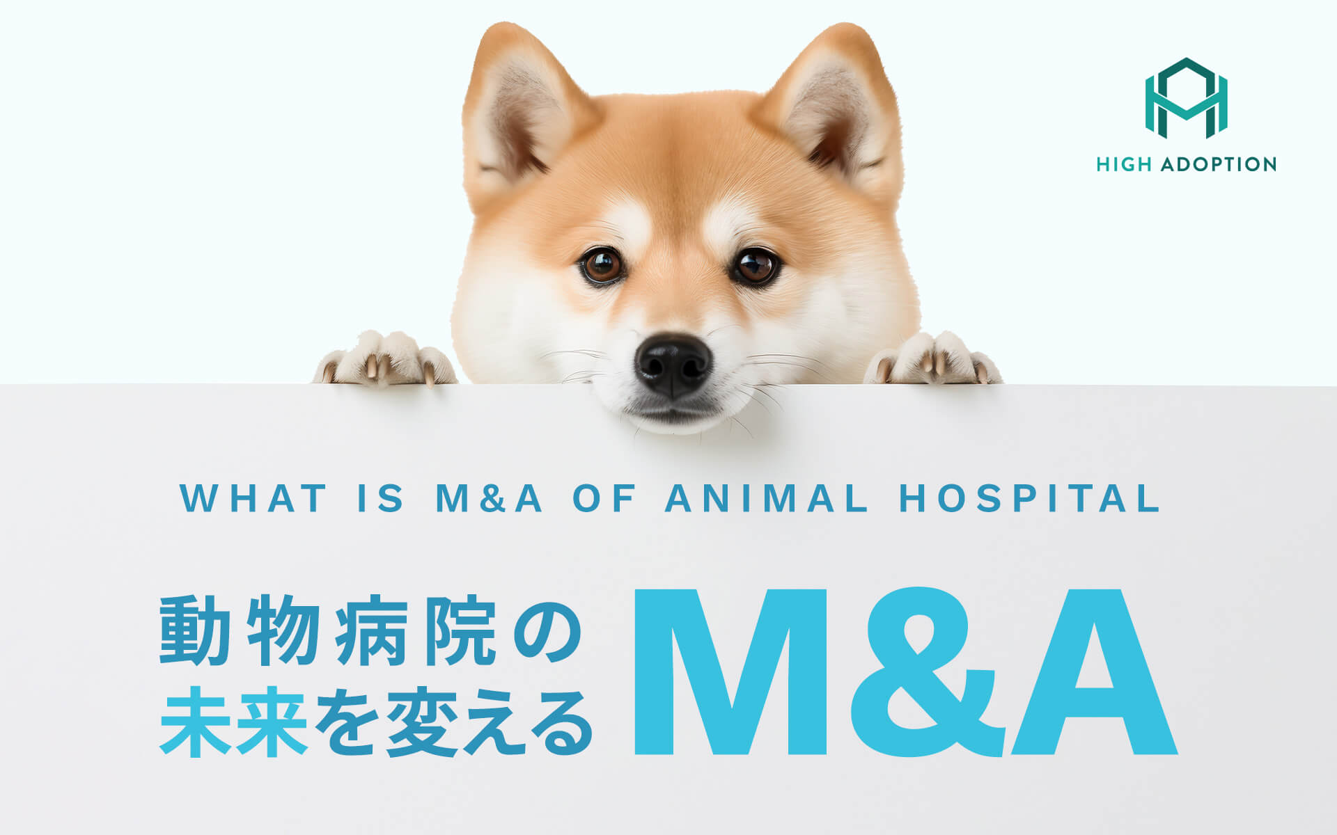 後継者がいない、病院を展開させたい！動物病院の未来を変えるM&Aとは？