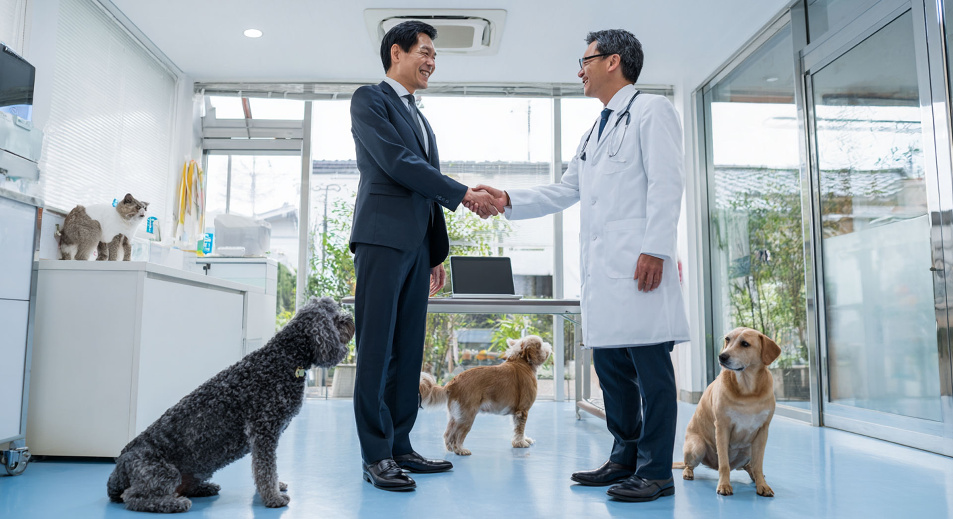 動物病院の買収を検討する企業・個人向けガイド
