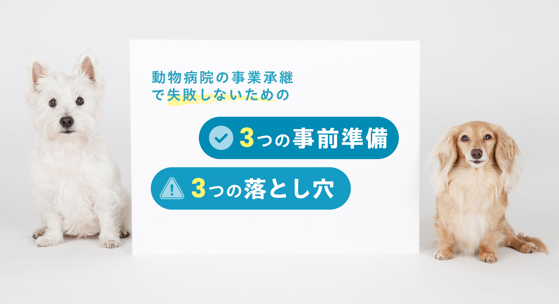 動物病院の事業承継で失敗しないための“3つの事前準備”と“3つの落とし穴”